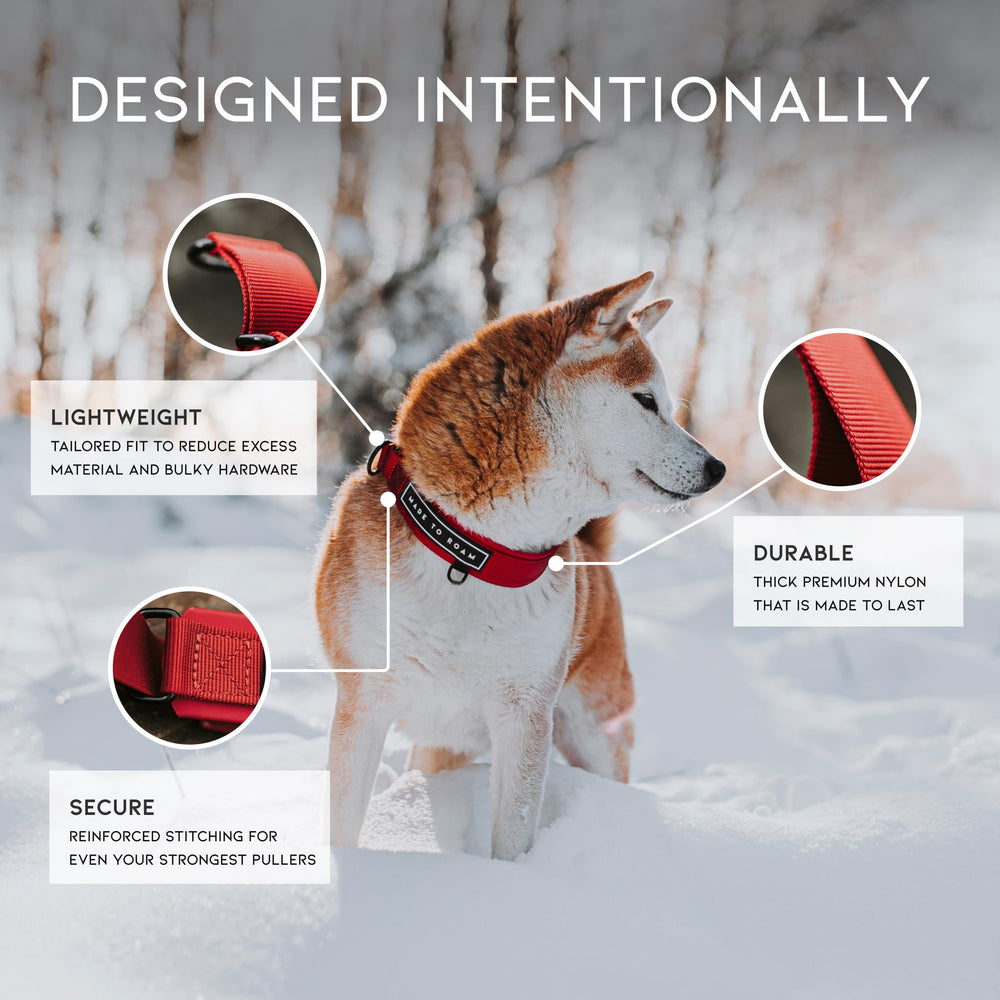 MADE TO ROAM martingale-closure closeup demonstrates safe, controlled tightening during walks