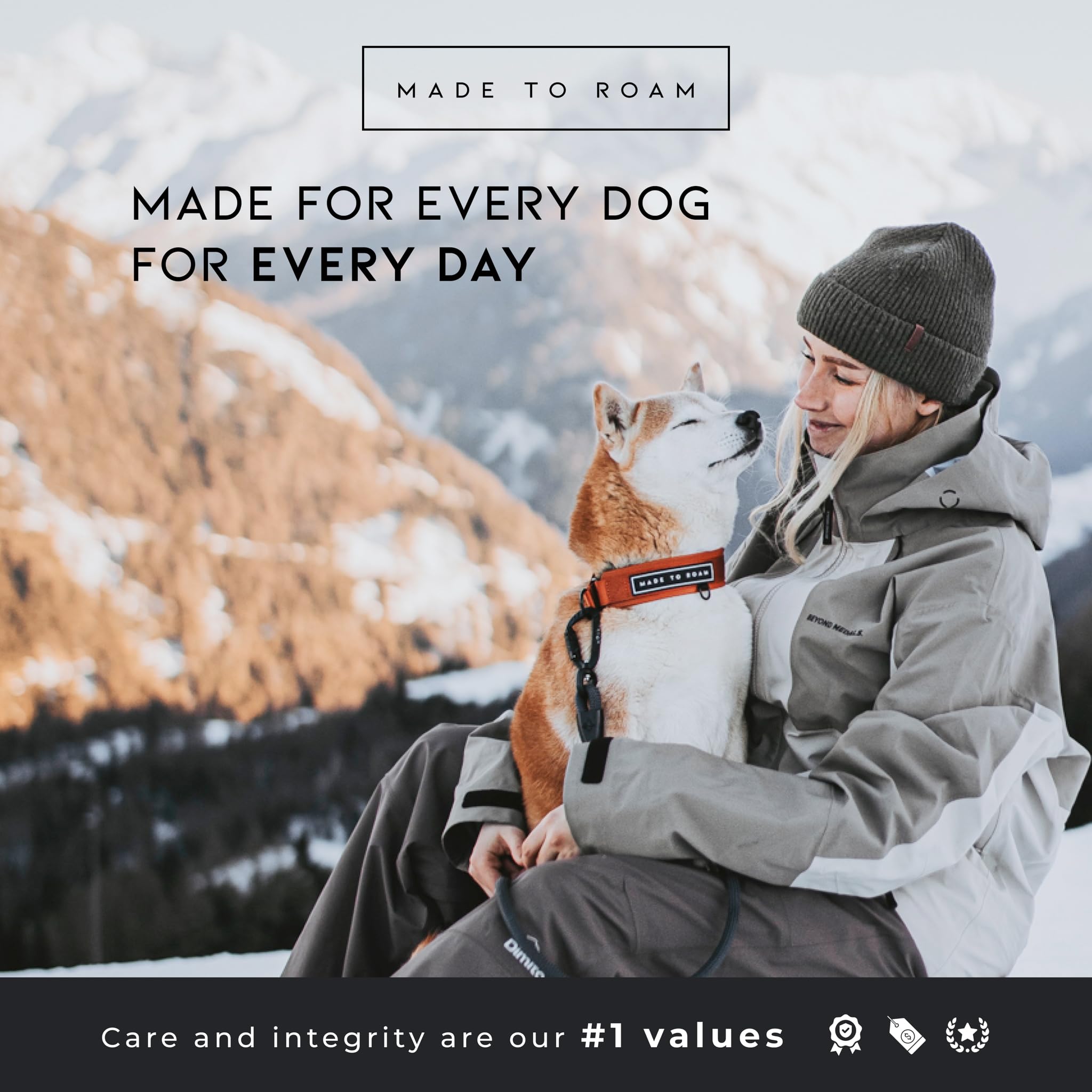 MADE TO ROAM Oregon Haze collar on dog demonstrating color and comfortable fit
