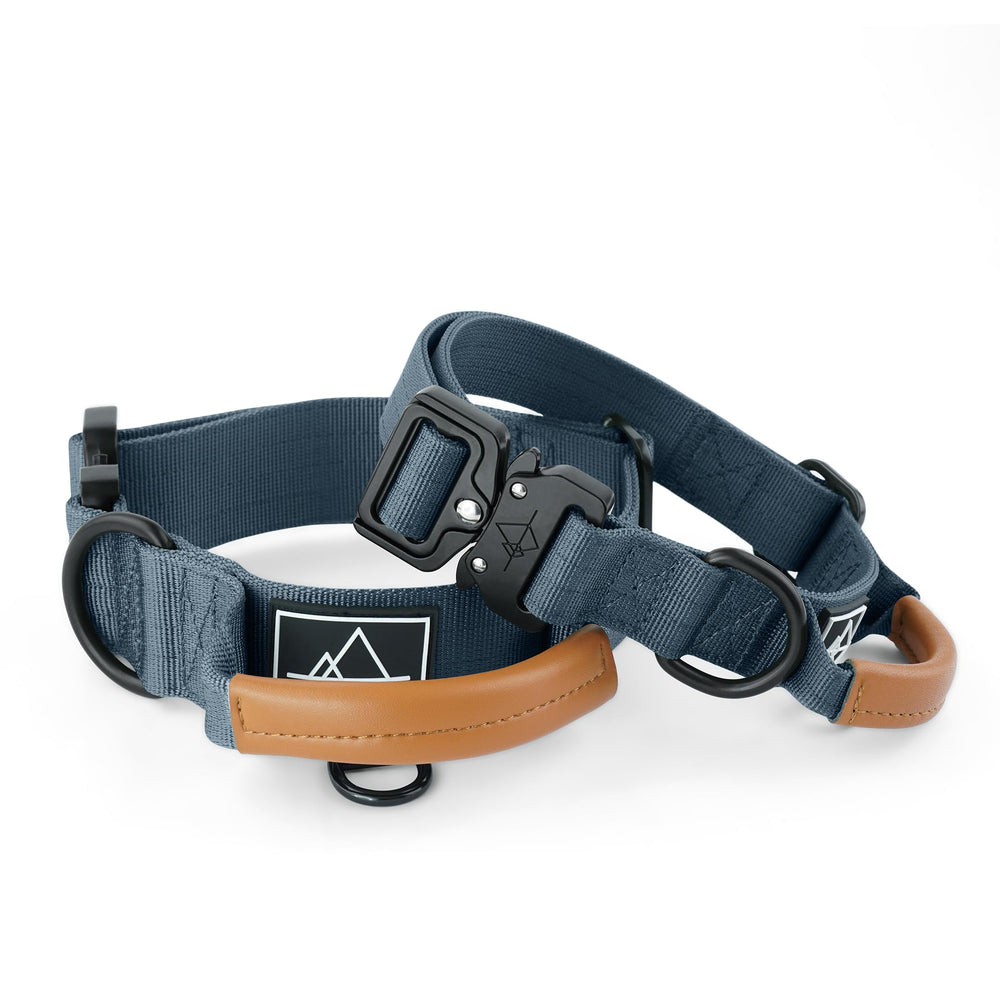 Made to ROAM Colorado Nightsky control collar handle closeup highlighting training grip