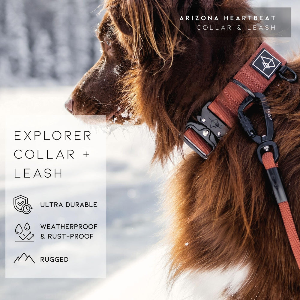Made to ROAM Colorado Nightsky collar worn during a walk showcasing weatherproof design