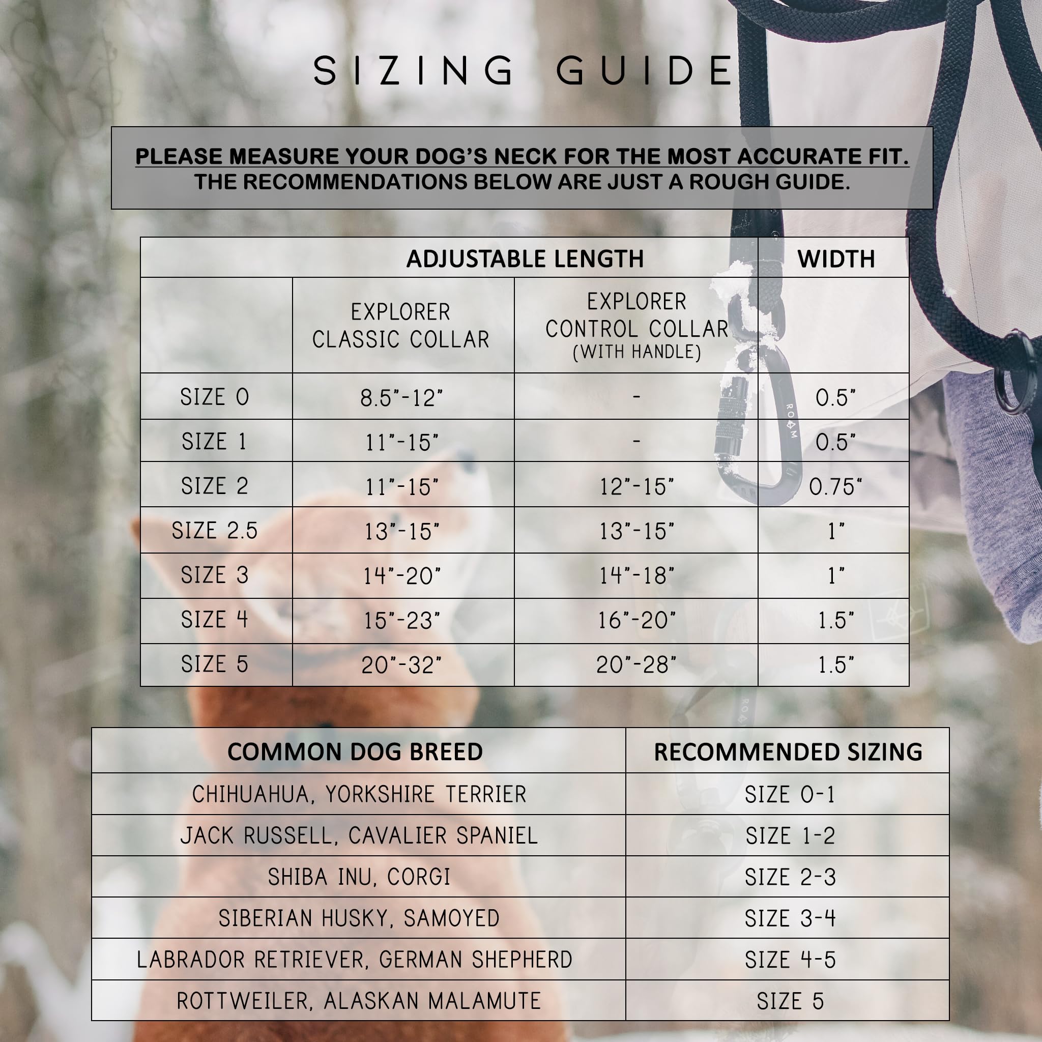 Made to ROAM Colorado Nightsky stitching detail emphasizing reinforced durability