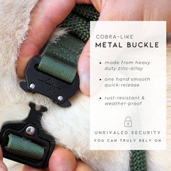 Made to ROAM control collar D-ring area illustrating leash and tag access points