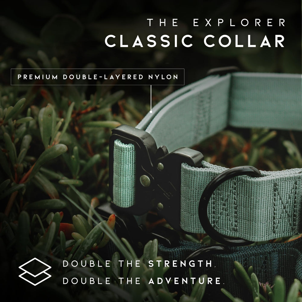 Made to ROAM control collar quick-release buckle closeup for fast secure adjustments
