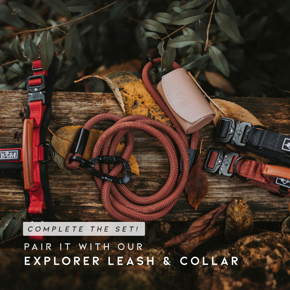 MADE TO ROAM Explorer Harness leather handle adds gentle control during training or stops.