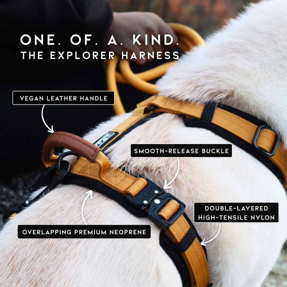 MADE TO ROAM Explorer Harness Colorado Nightsky side view highlights comfortable fit for longer hikes.