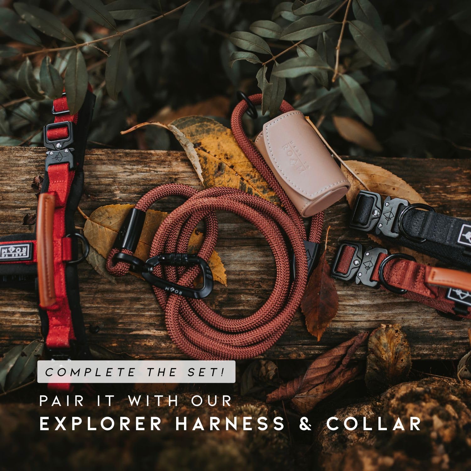 MADE TO ROAM Explorer Leash minimalist design: aesthetically pleasing leash with a sleek, outdoor-ready look.