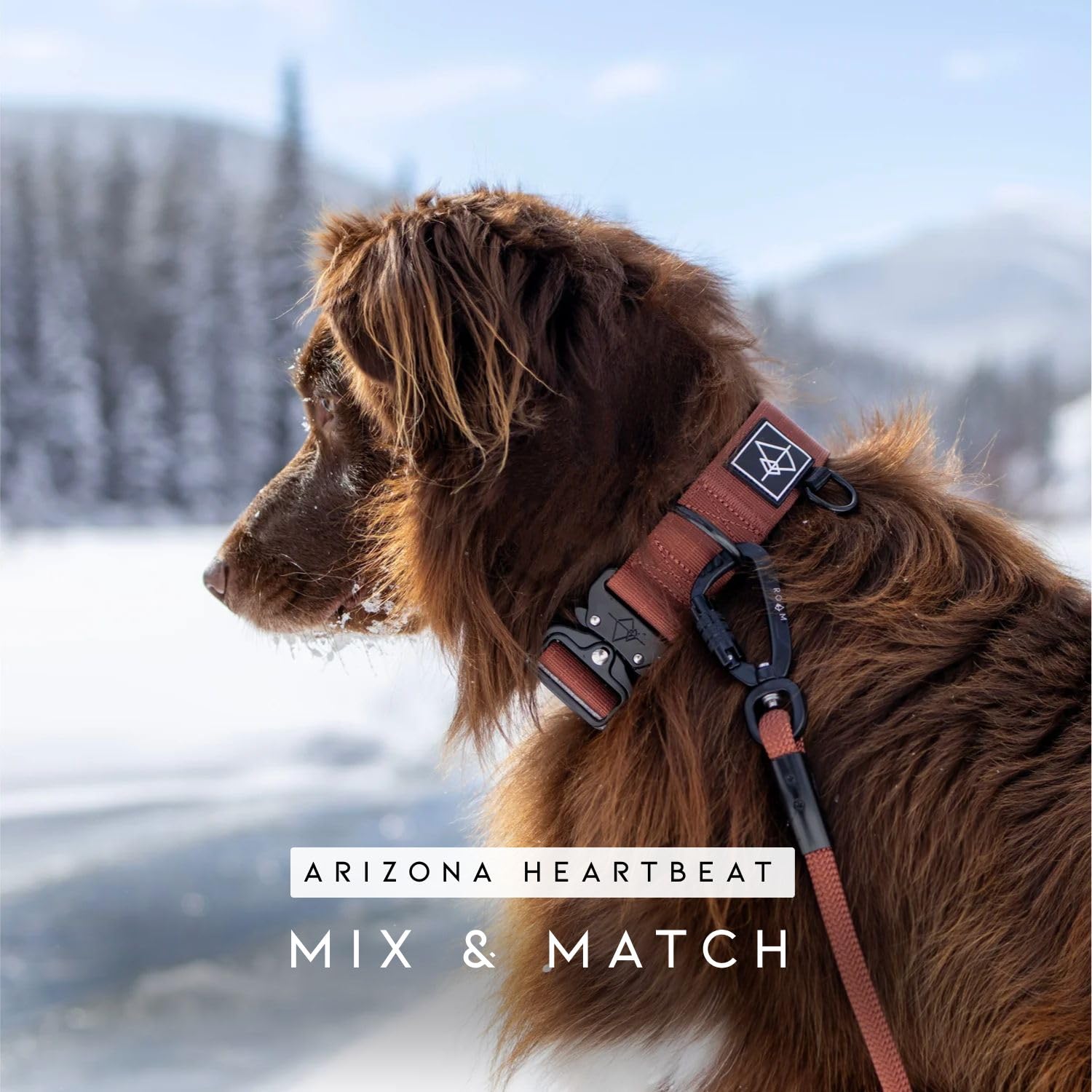 MADE TO ROAM Explorer Leash easy-clean closeup: simple maintenance for repeat-use reliability.
