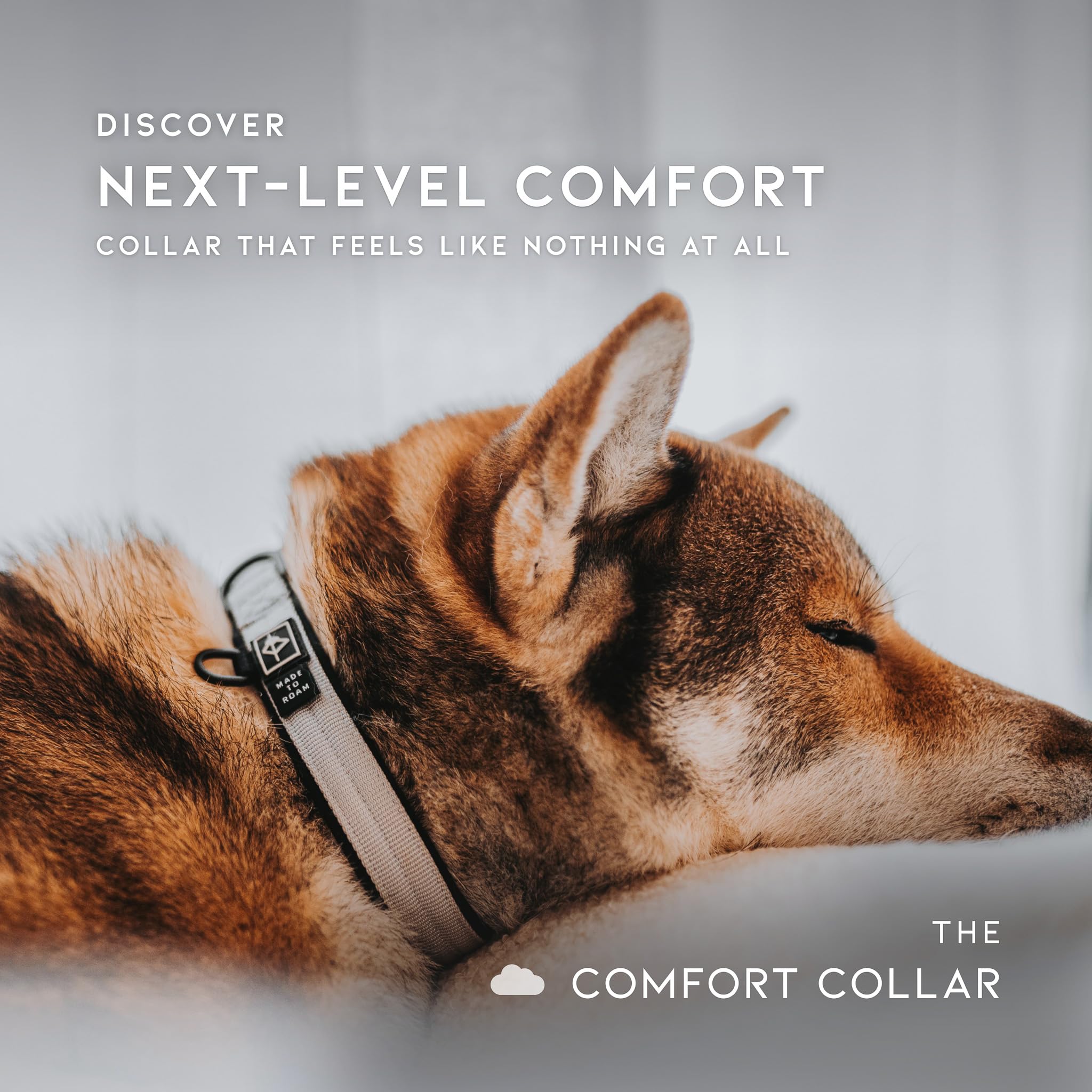 MADE TO ROAM lightweight collar across sizes for small to large dogs.