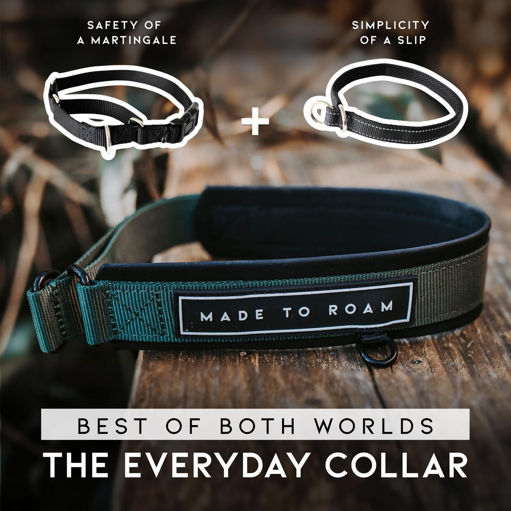 MADE TO ROAM martingale-no-pull design demonstrates secure, gentle guidance