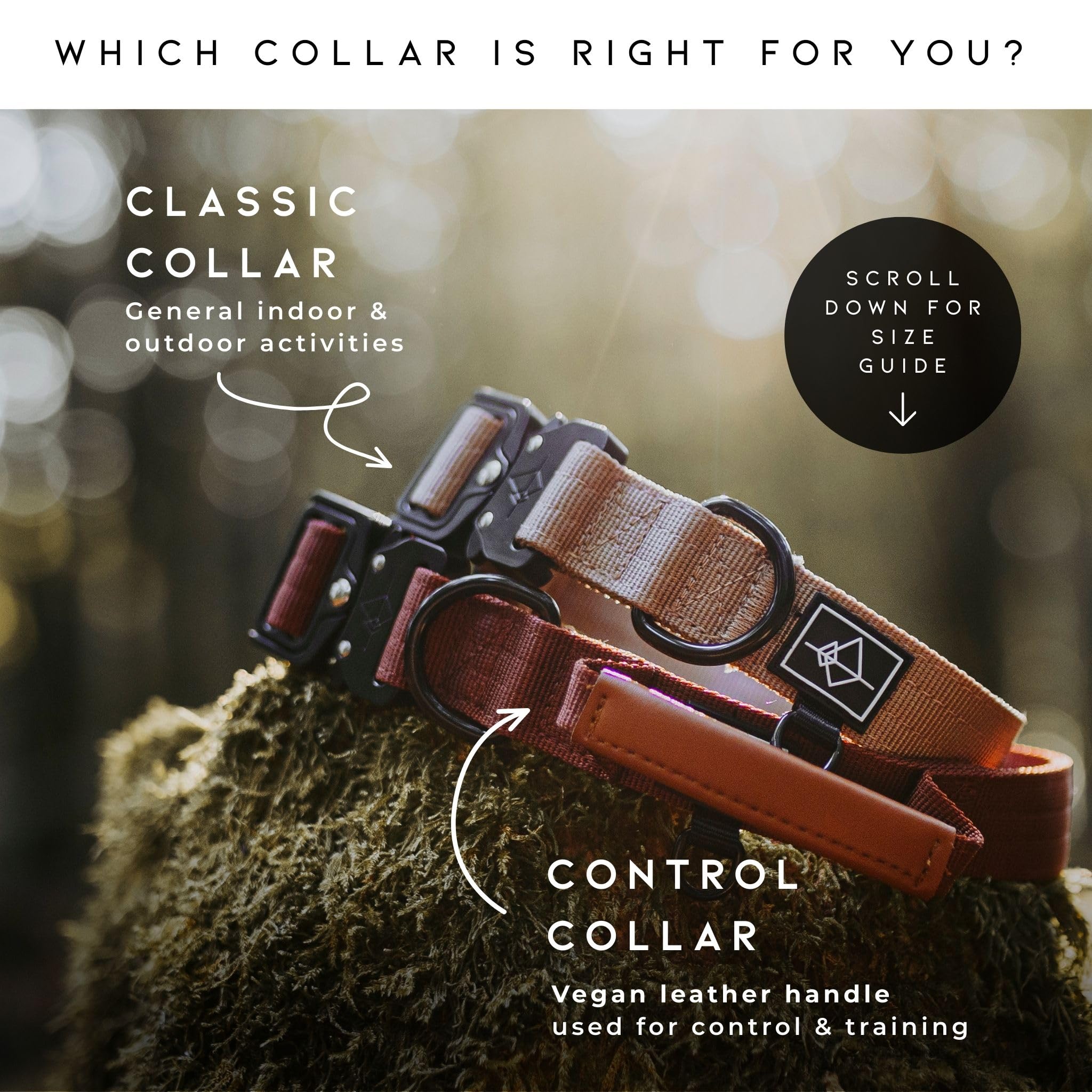 MADE TO ROAM premium dog collar Explorer Control handle - extra control during training sessions