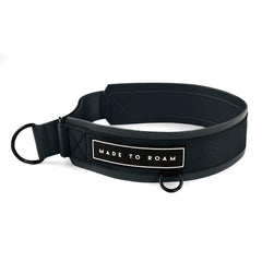 MADE TO ROAM Everyday Collar on a dog during a sunny walk, comfortable daily wear.