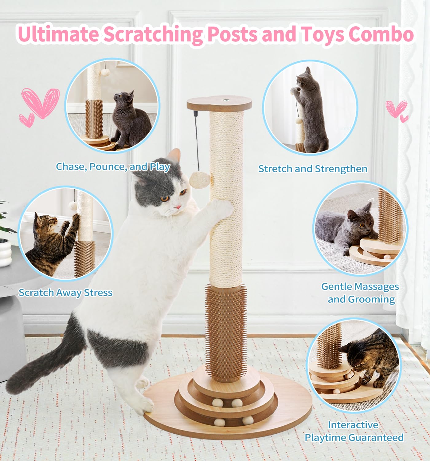 Made4Pets ball track toy kitten play emphasis on interactive motion.