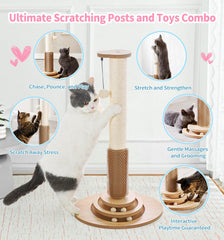 Made4Pets ball track toy kitten play emphasis on interactive motion.