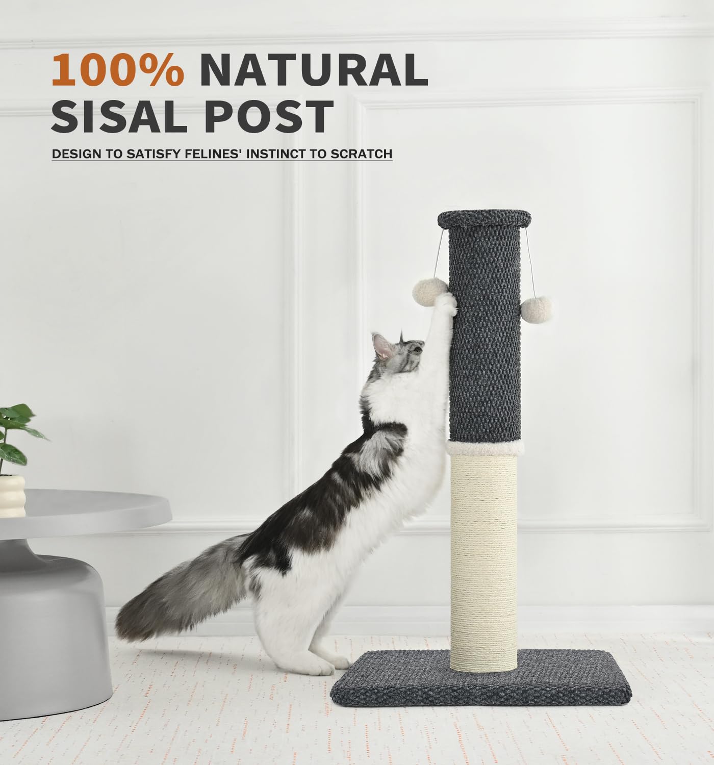 Made4 Pets dark grey base demonstrates space-saving, sturdy foundation.