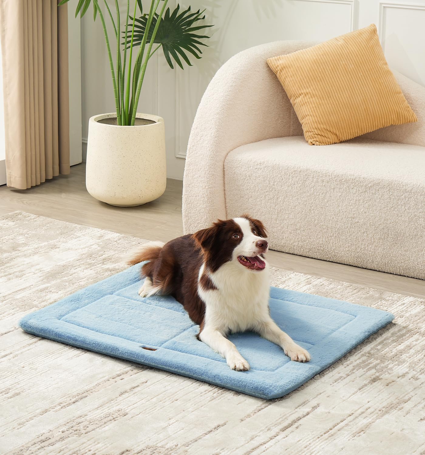 MADE 4 PETS reversible design doubles daily usage options.
