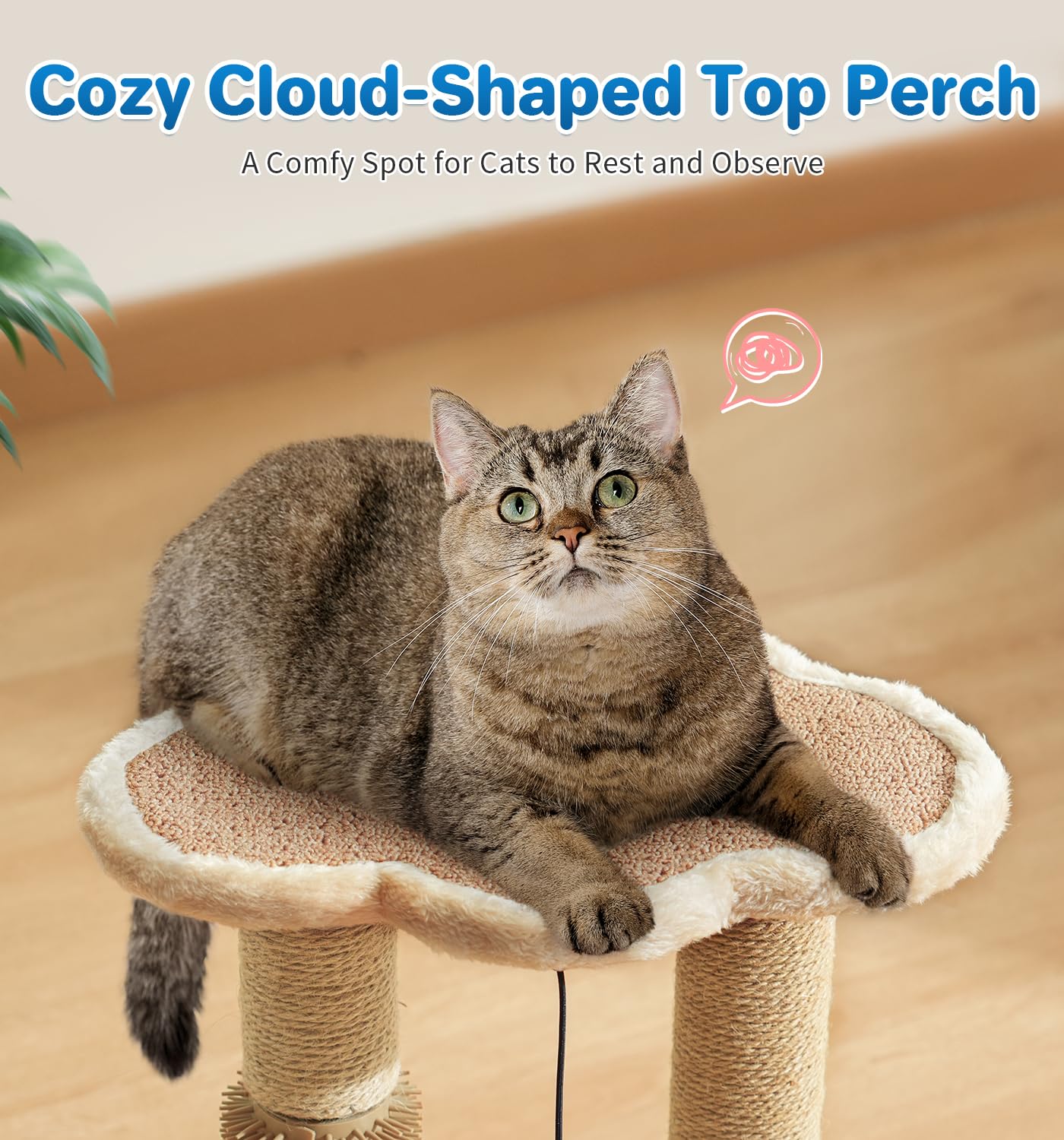 MADE 4 PETS solid wood construction ensures a sturdy, easy-to-clean frame.