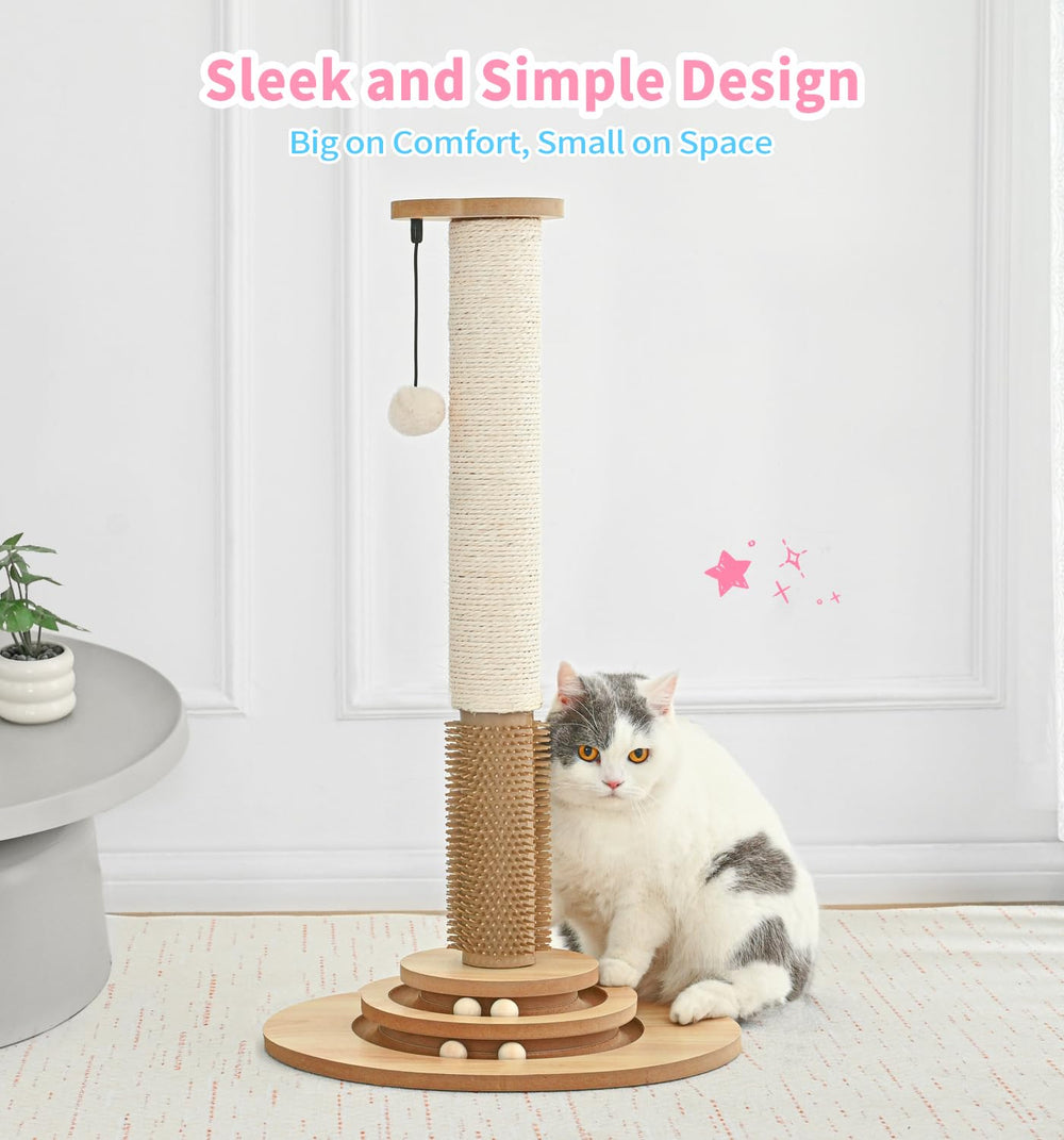Made4Pets wooden track ball kit for engaging kitten activity.