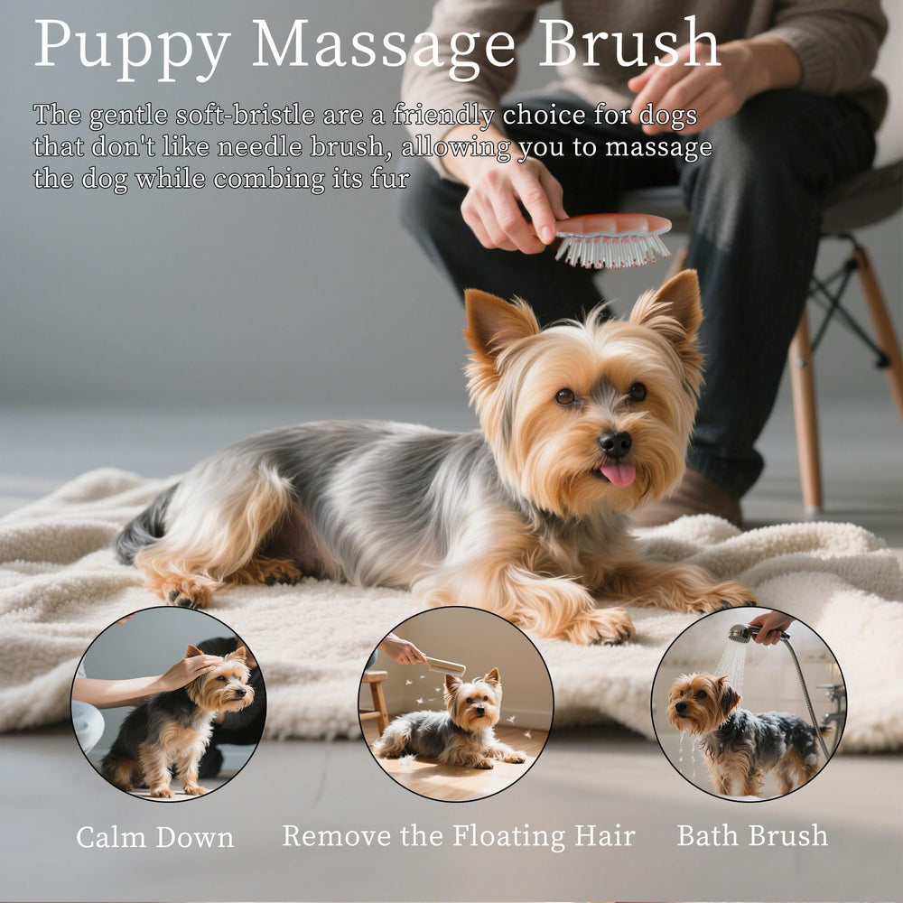 MAEELOU Gentle Cloud Brush removes loose hair for shedding-prone small breeds.
