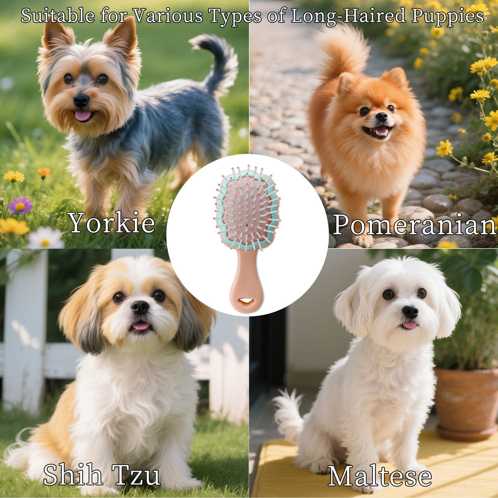 MAEELOU Gift box packaging shown with brush for gifting dog lovers.
