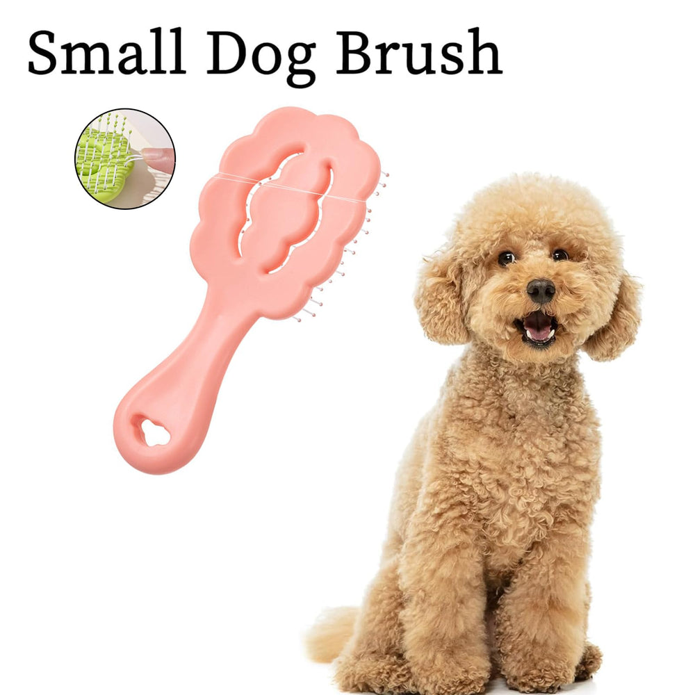 MAEELOU puppy grooming with cloud-shaped brush on small breeds
