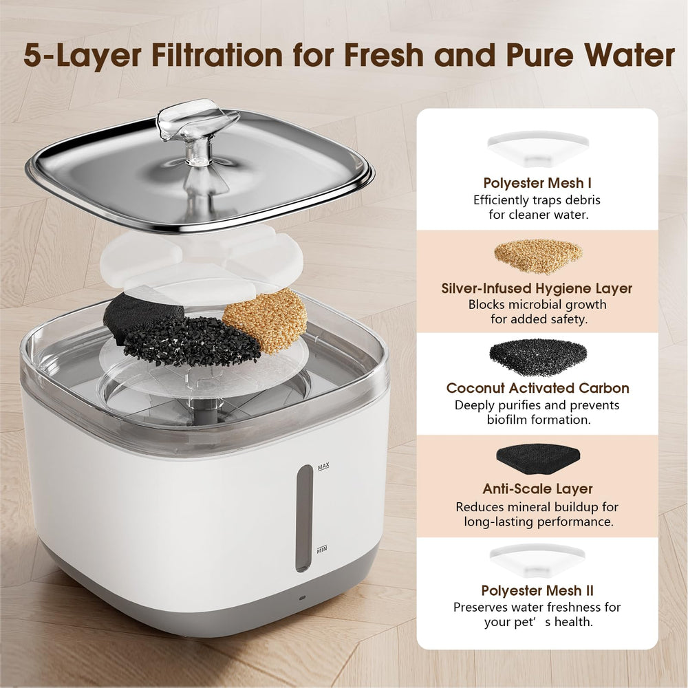 Magetang cat water fountain pour—cat enjoys running water, showcasing hydration appeal