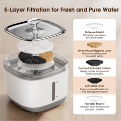 Magetang cat water fountain pour—cat enjoys running water, showcasing hydration appeal
