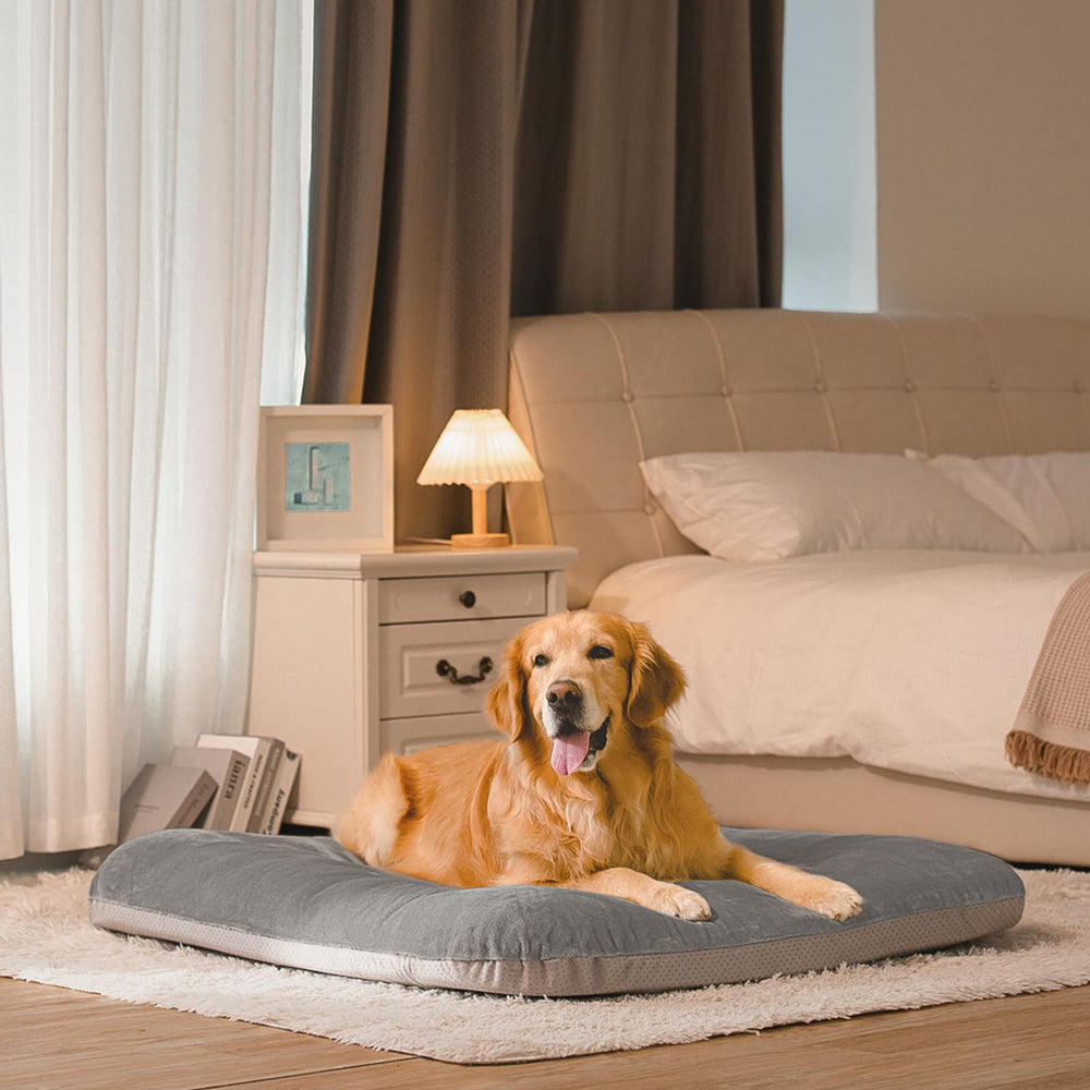 Magic Dog available sizes including 32x24 and 39x33.5 for large breeds.