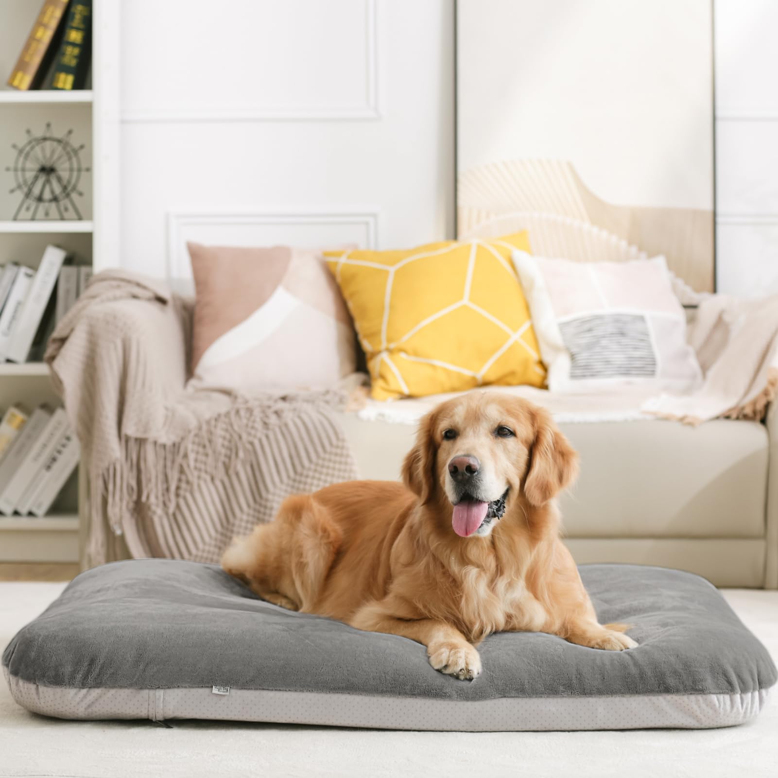 Magic Dog removable washable cover shown for easy cleaning and refresh.