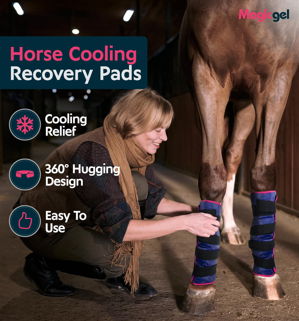 Magic Gel horse ice pack wrapped around leg for secure contact.