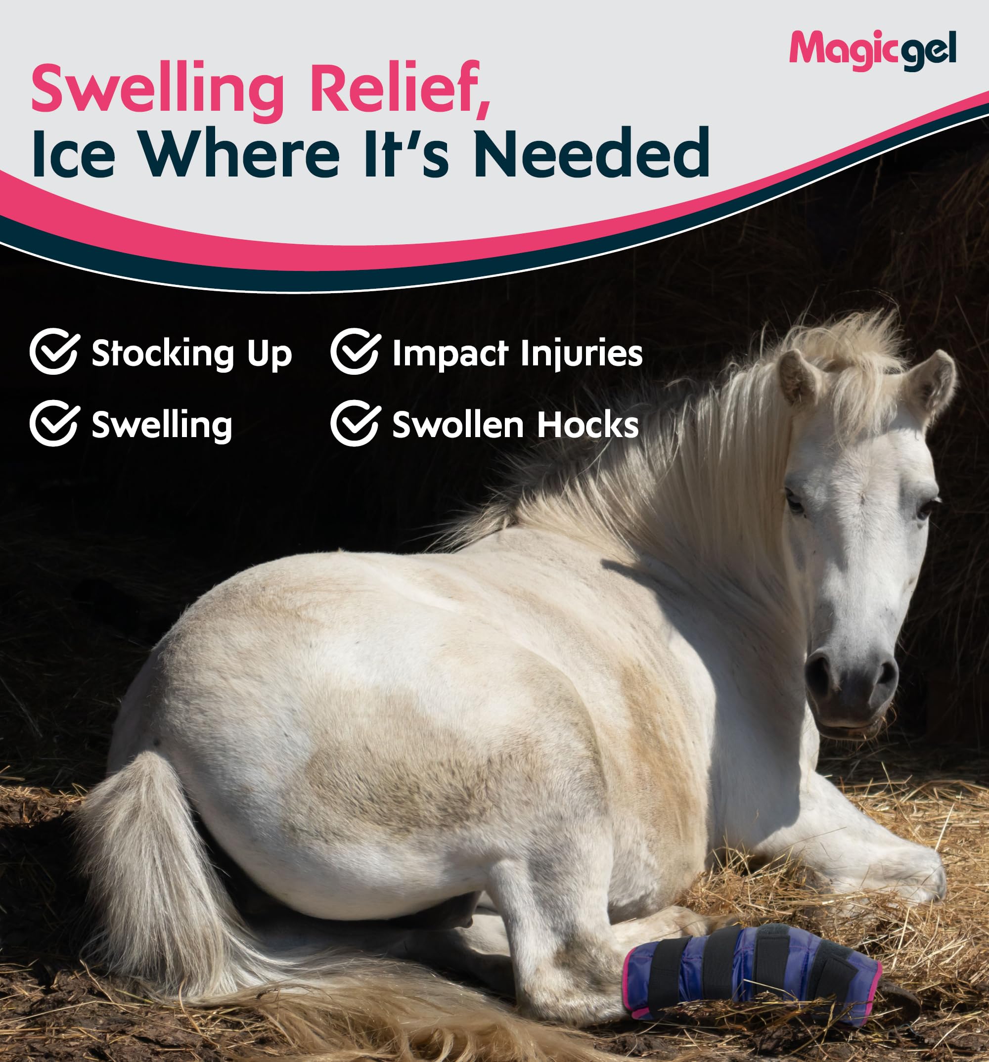 Magic Gel ice pack used in routine post-work cooling for horses.
