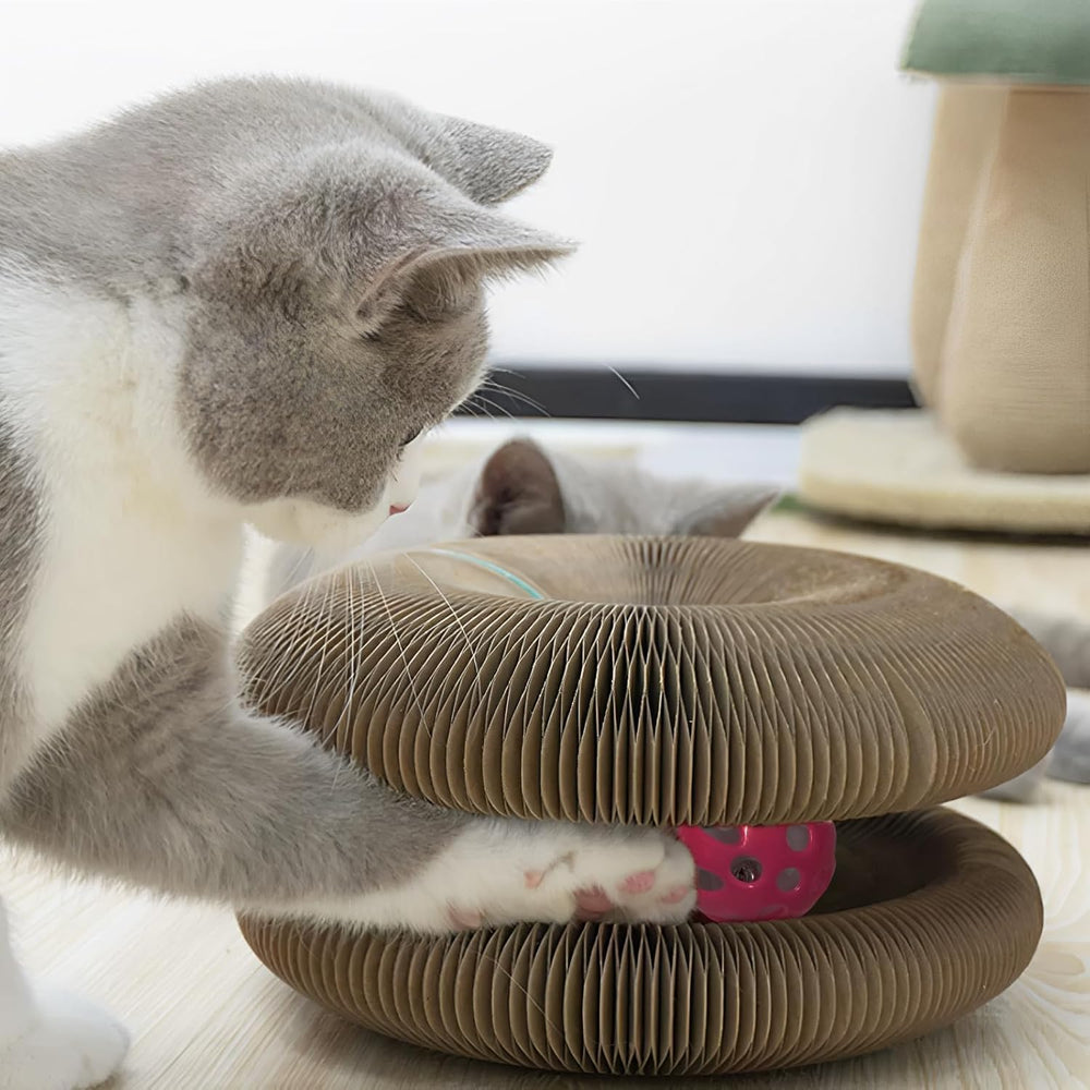 Magic Organ foldable cat scratchboard side view highlights 360° scratching surface for claws upkeep.