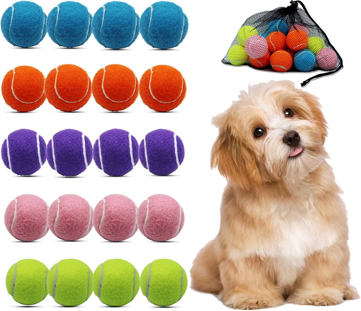 Magicorange 20-pack dog tennis balls for 2-inch play sessions, handy and colorful.