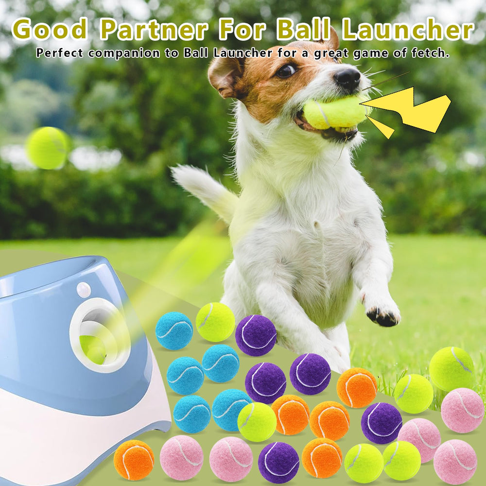 Magicorange blue 2-inch squeaky ball stands out for quick chasing.