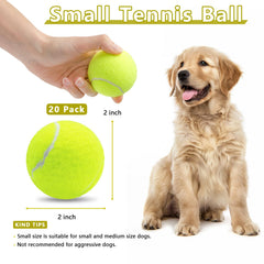 Magicorange 2-inch squeaky dog tennis ball yellow aids energetic play.