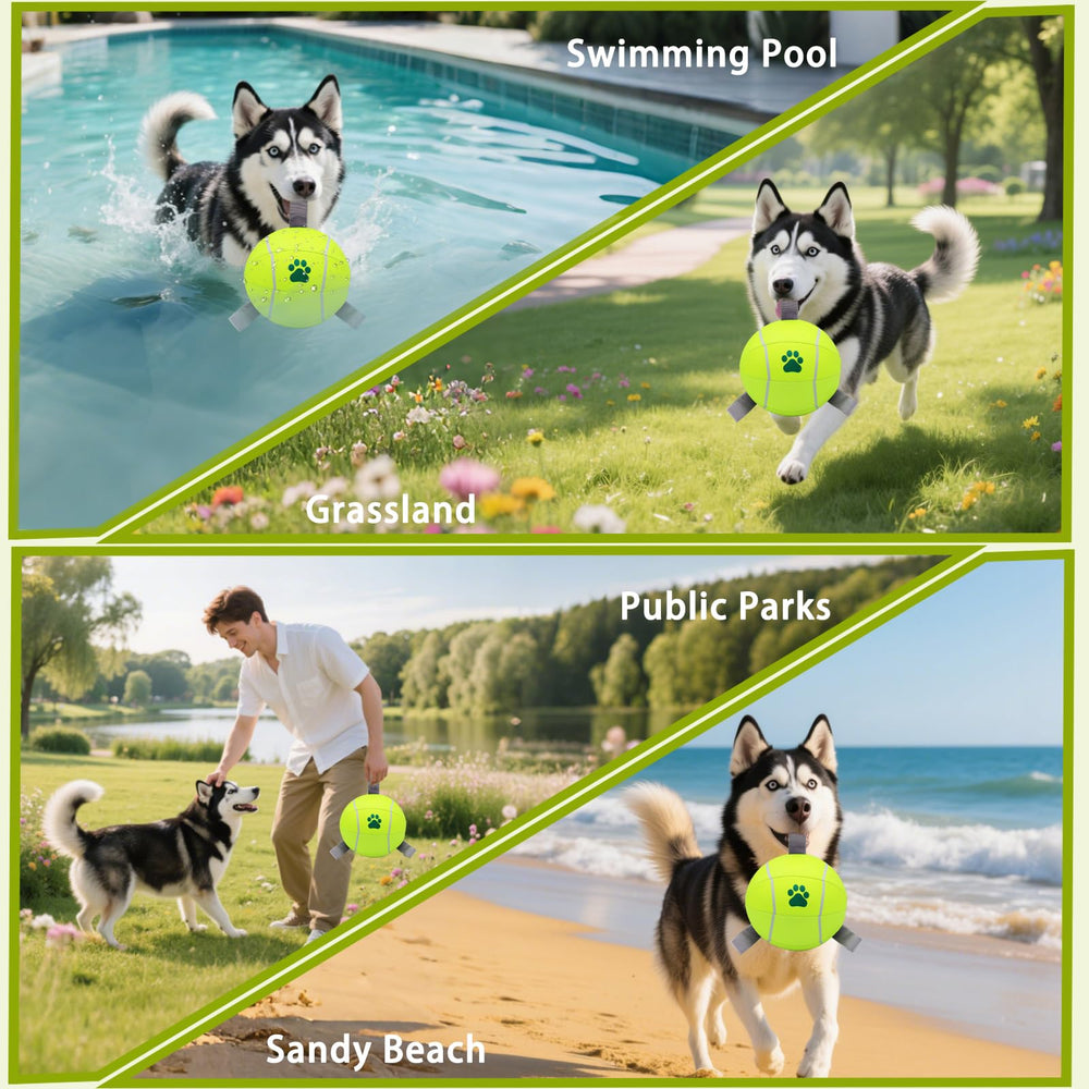 Magicorange 6in dog ball yellow package contents include air pump and needles.