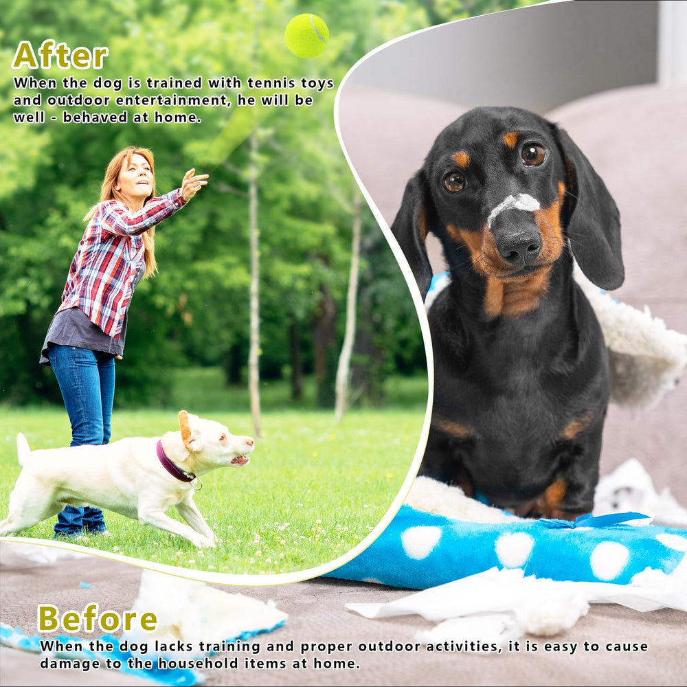 Magicorange launcher-compatible ball, ready for hands-free throwing and higher-energy games.