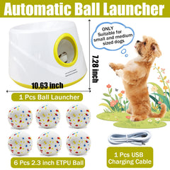 Magicorange dog ball launcher in indoor use for versatile spaces