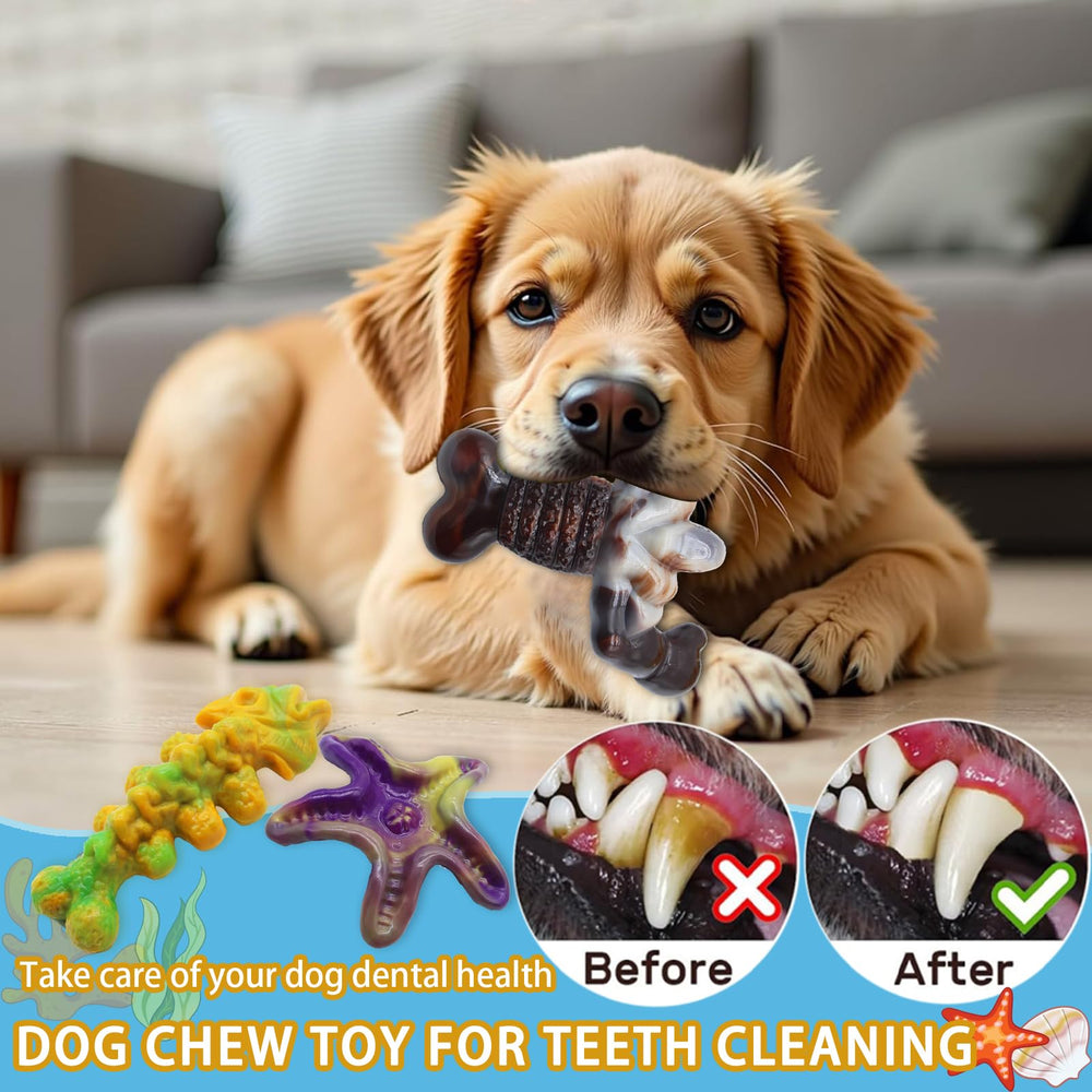 Magicorange dog toy suited for medium to large breeds redirecting chewing behavior