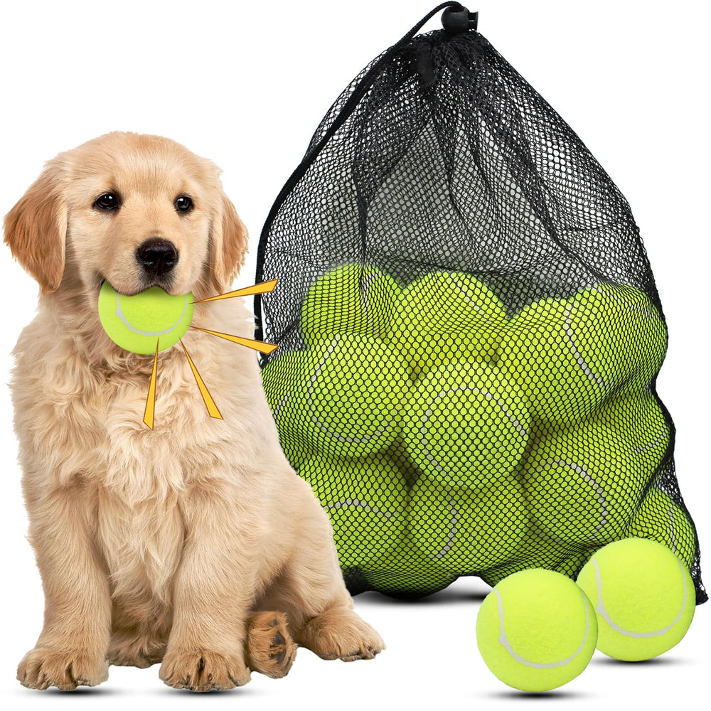 Magicorange dog tennis ball 2.5-inch yellow pack for fetch and play.