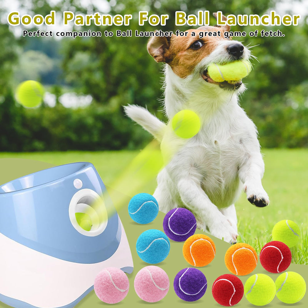Magicorange blue dog tennis ball, durable felt surface for gentle play during daily fetch.