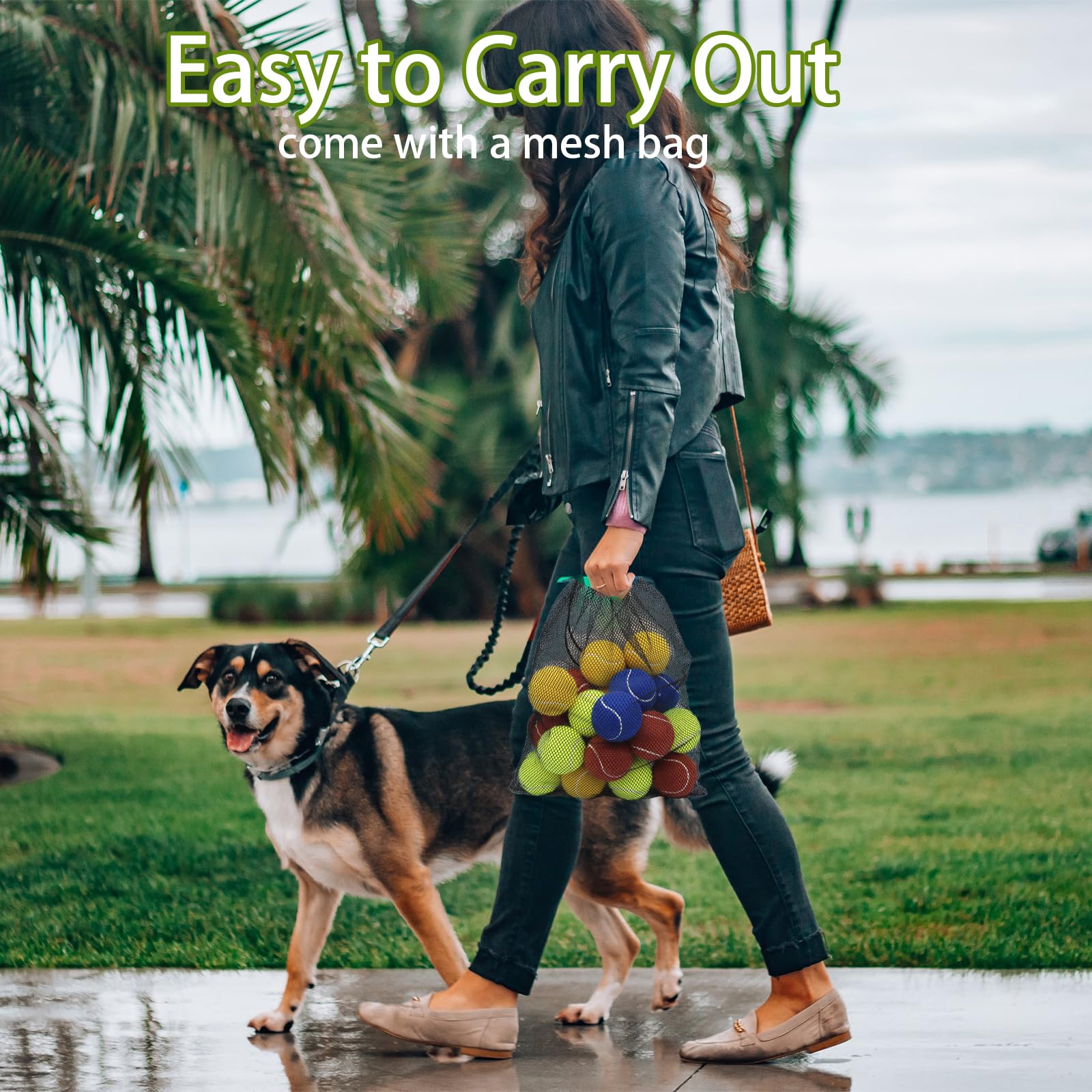 Magicorange dog-tennis-ball-dog-action-shot demonstrates durable build for rugged play