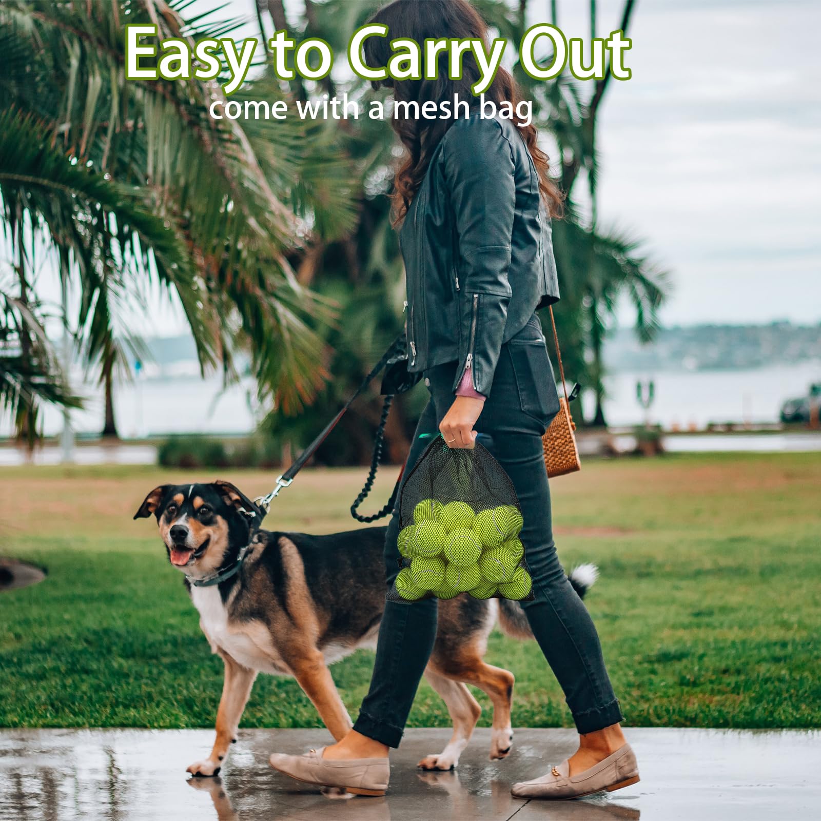 Magicorange dog tennis ball made from natural rubber for durable outdoor use.