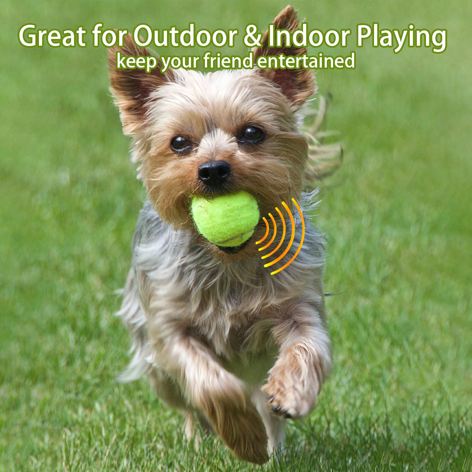 Magicorange dog tennis ball ideal for training sessions and quick fetch drills.