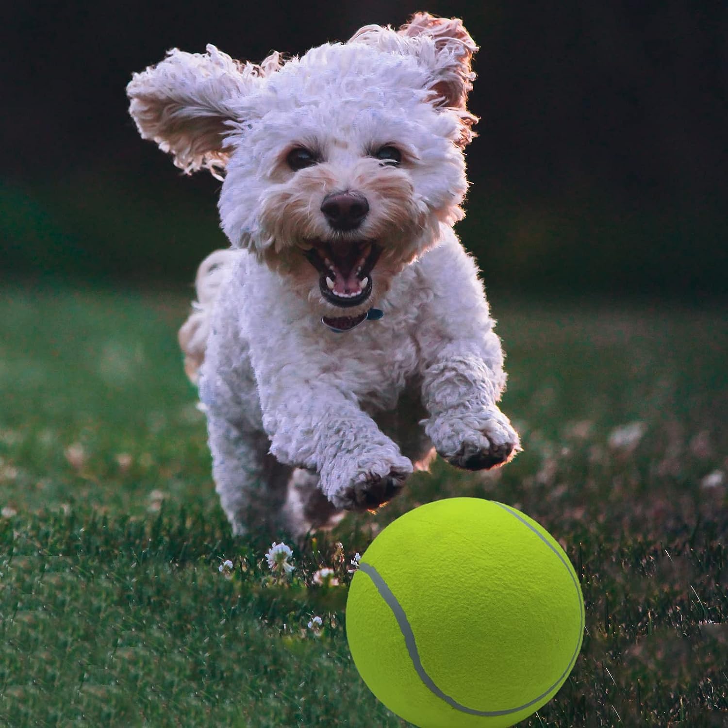 Magicorange 9.5-inch ball delivers a strong bounce for indoor/outdoor fun