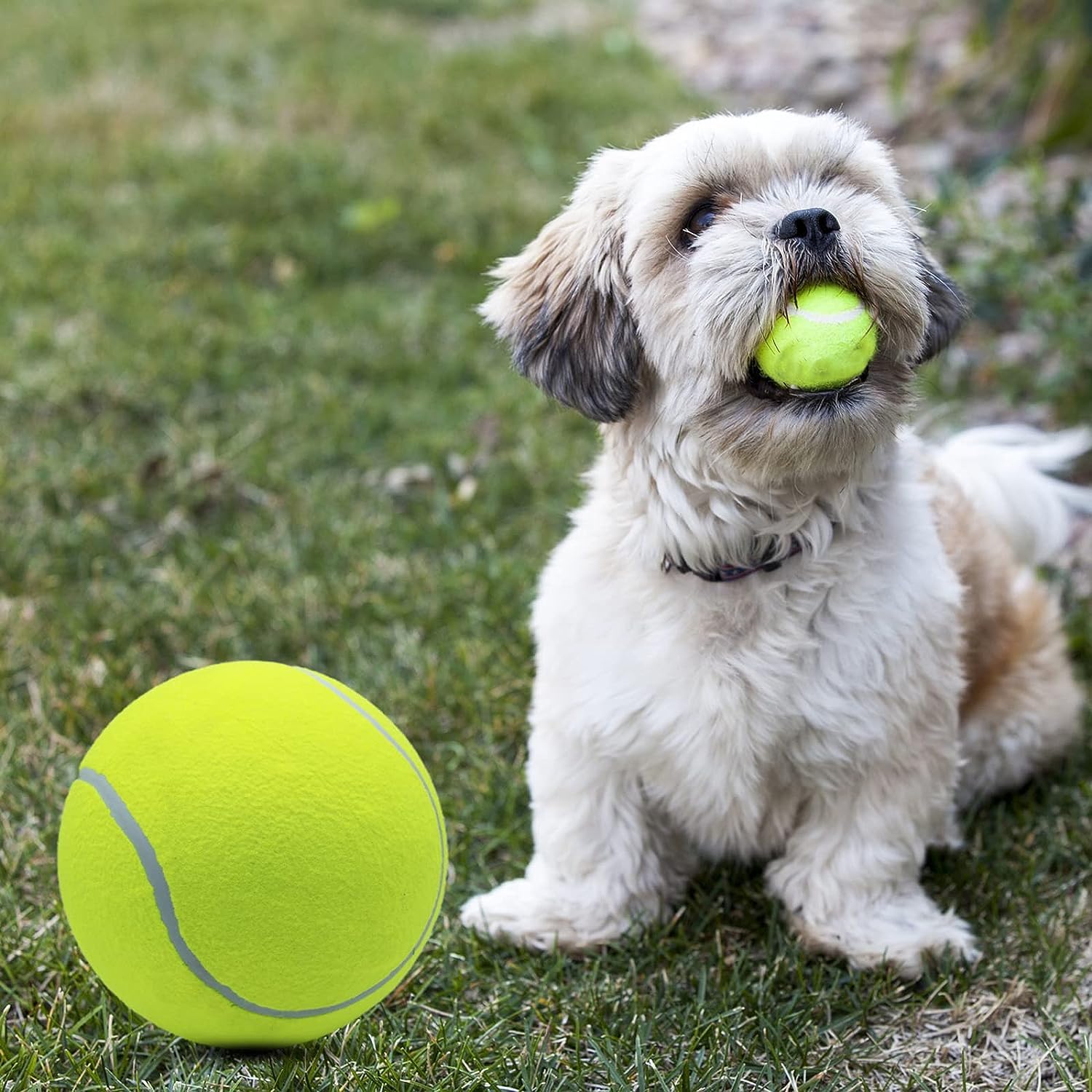 Magicorange 4-pack comes with four balls ready for multiple play sessions