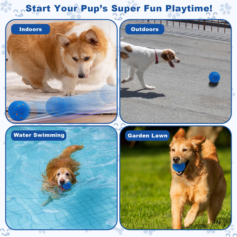 Magicorange interactive dog ball blue safety notes highlight supervised, non-edible lubricant surface