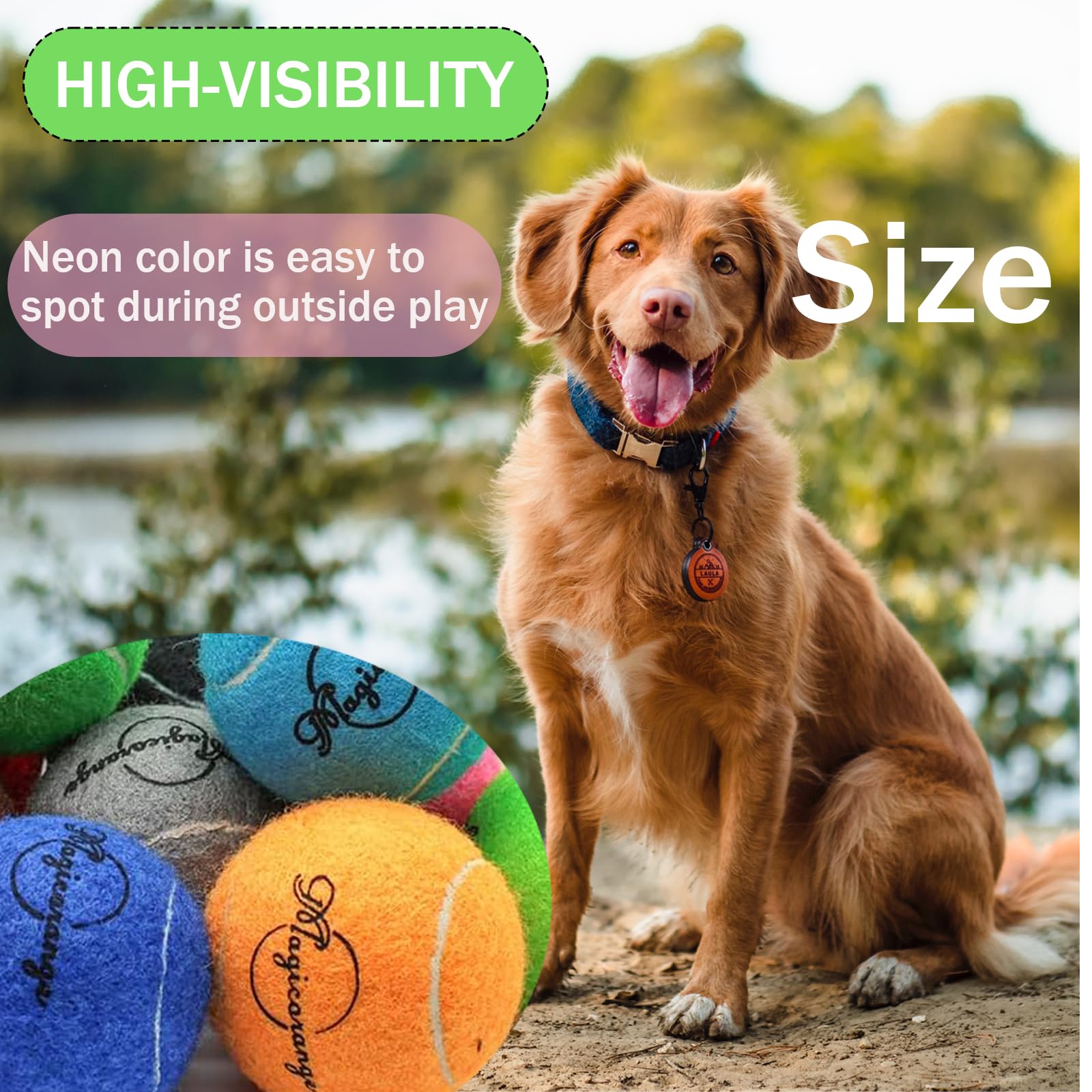 Magicorange interactive dog toy for indoor and outdoor play sessions.