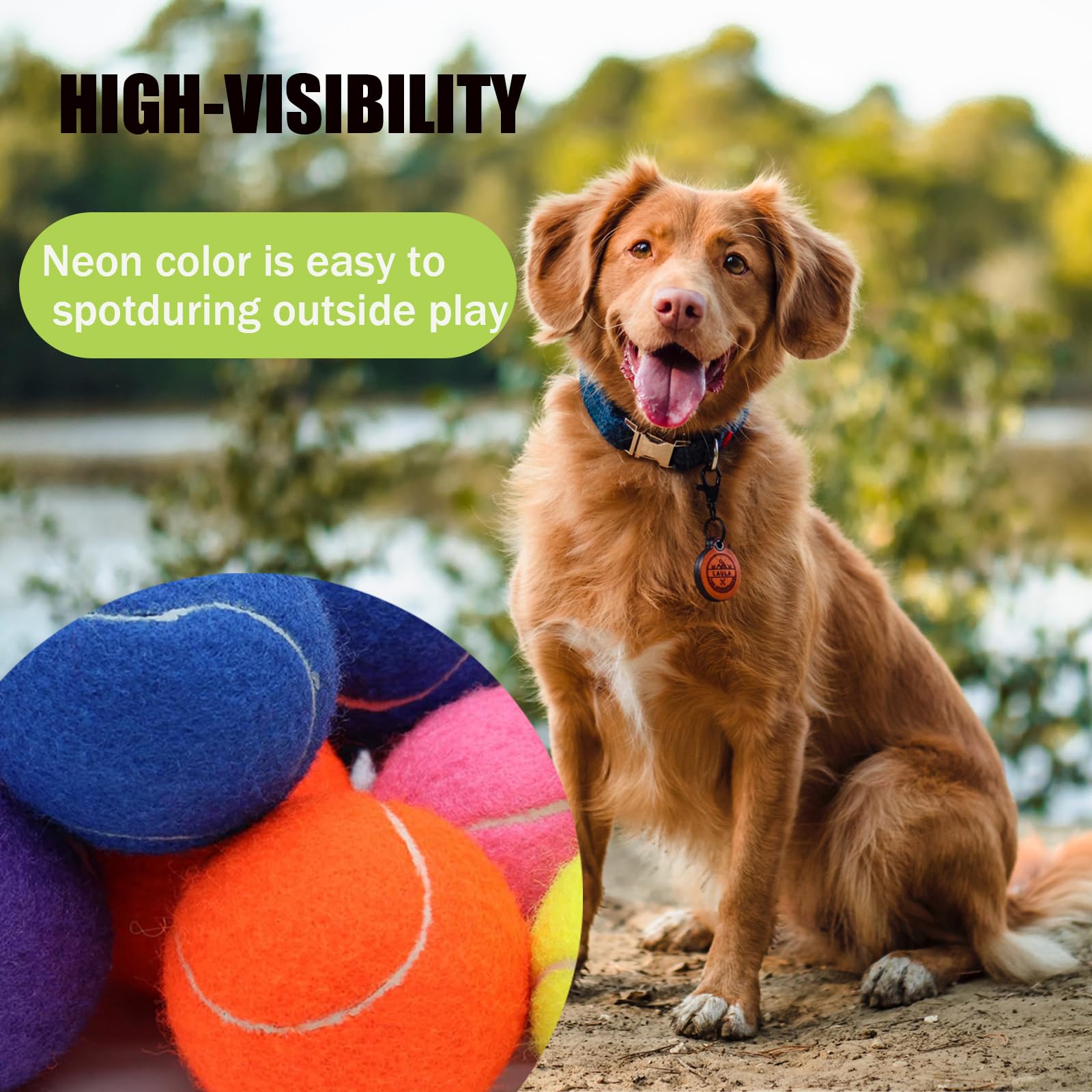 Magicorange interactive dog toy sparks active play through chasing indoors or outdoors.