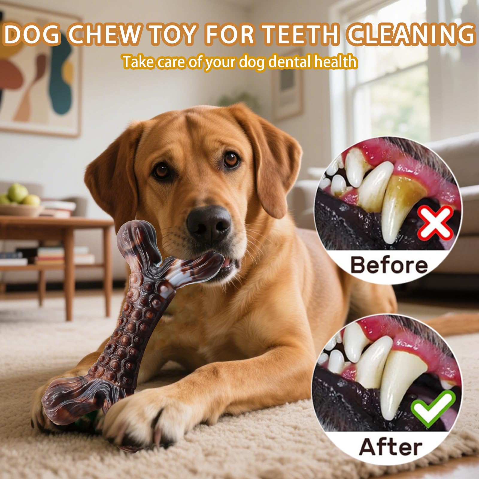 Magicorange interactive toy set makes a thoughtful gift for dogs and owners.