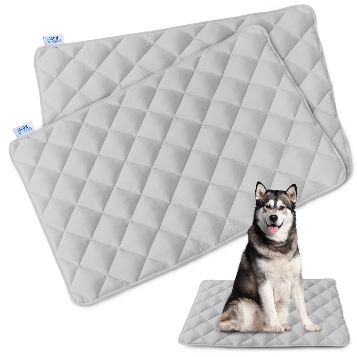 Magik & Kover 36x23 gray two-pack crate pads in a kennel for comfortable resting space